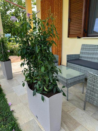 Agriturismo Il Portico Capalbio Exterior foto